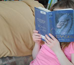 在线手机号轰炸机